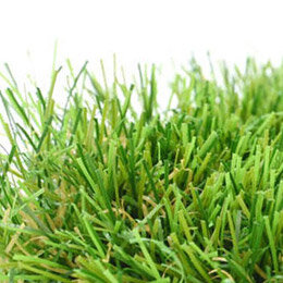 Artificial Grass