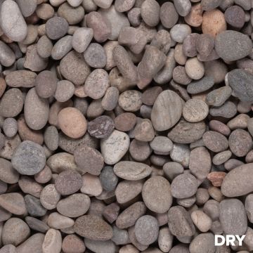 Scottish Pebbles 20-30mm
