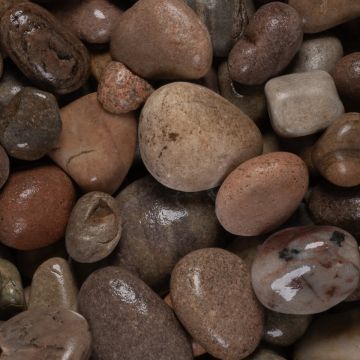 Scottish Cobbles 50-80mm Decorative Stone Bulk Bag