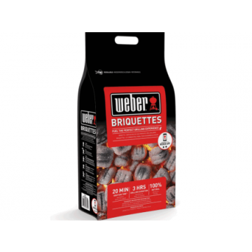 weber briquettes